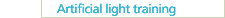 Artificial light training
