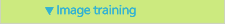 Image training