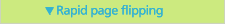 Rapid page flipping